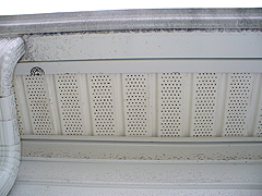 Click here for a larger view of this mold/mildew removal image