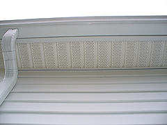 Click here for a larger view of this mold/mildew removal image