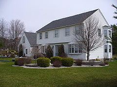 Click here for a larger view of this mold/mildew removal image