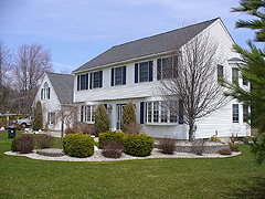 Click here for a larger view of this mold/mildew removal image
