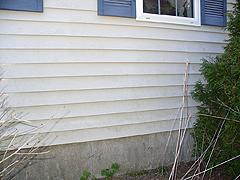 Click here for a larger view of this mold/mildew removal image