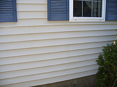 Click here for a larger view of this mold/mildew removal image