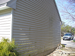 Click here for a larger view of this mold/mildew removal image