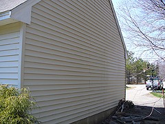 Click here for a larger view of this mold/mildew removal image