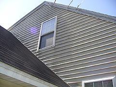 Click here for a larger view of this mold/mildew removal image