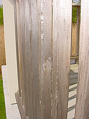 Click here for a larger view of this mold/mildew removal image