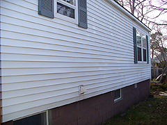 Click here for a larger view of this mold/mildew removal image