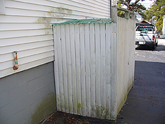 Click here for a larger view of this mold/mildew removal image