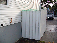 Click here for a larger view of this mold/mildew removal image