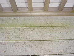 Click here for a larger view of this mold/mildew removal image