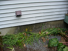 Click here for a larger view of this mold/mildew removal image
