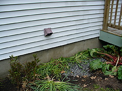 Click here for a larger view of this mold/mildew removal image