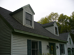 Click here for a larger view of this mold/mildew removal image