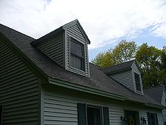 Click here for a larger view of this mold/mildew removal image