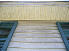 Click here for a larger view of this mold/mildew removal image
