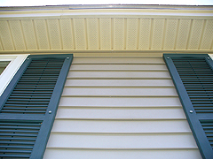 Click here for a larger view of this mold/mildew removal image