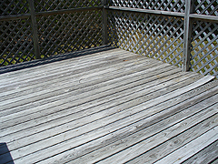 Click here for a larger view of this mold/mildew removal image