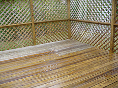 Click here for a larger view of this mold/mildew removal image