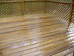 Click here for a larger view of this mold/mildew removal image