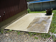 Click here for a larger view of this mold/mildew removal image
