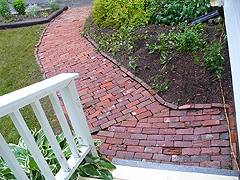 Click here for a larger view of this mold/mildew removal image