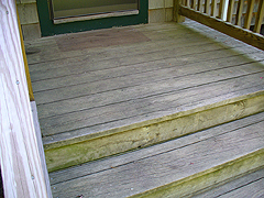 Click here for a larger view of this mold/mildew removal image