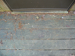Click here for a larger view of this mold/mildew removal image