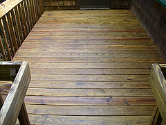 Click here for a larger view of this mold/mildew removal image