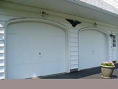 Click here for a larger view of this mold/mildew removal image