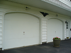 Click here for a larger view of this mold/mildew removal image