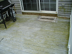 Click here for a larger view of this mold/mildew removal image