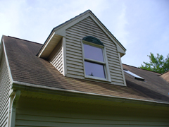 Click here for a larger view of this mold/mildew removal image