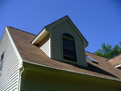 Click here for a larger view of this mold/mildew removal image