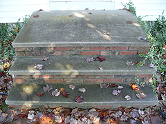 Click here for a larger view of this mold/mildew removal image