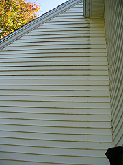 Click here for a larger view of this mold/mildew removal image