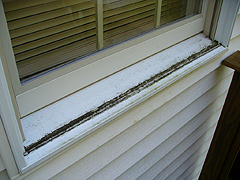 Click here for a larger view of this mold/mildew removal image