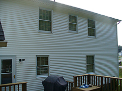 Click here for a larger view of this mold/mildew removal image