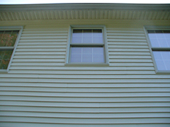 Click here for a larger view of this mold/mildew removal image