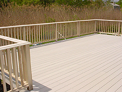 Click here for a larger view of this mold/mildew removal image