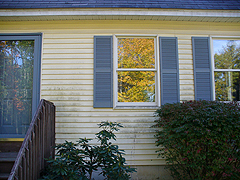 Click here for a larger view of this mold/mildew removal image