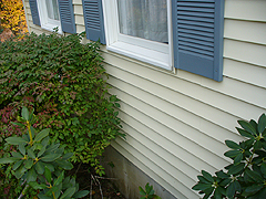 Click here for a larger view of this mold/mildew removal image