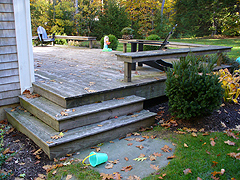 Click here for a larger view of this mold/mildew removal image