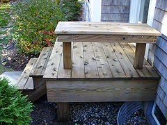 Click here for a larger view of this mold/mildew removal image