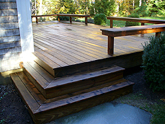 Click here for a larger view of this mold/mildew removal image