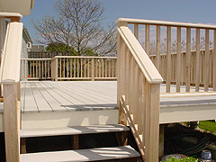 Click here for a larger view of this mold/mildew removal image