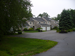 Click here for a larger view of this mold/mildew removal image