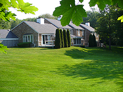 Click here for a larger view of this mold/mildew removal image
