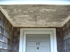 Click here for a larger view of this mold/mildew removal image