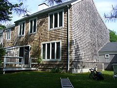Click here for a larger view of this mold/mildew removal image