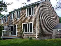 Click here for a larger view of this mold/mildew removal image